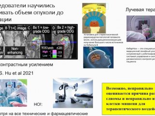 Источник: скриншот записи Президиума РАН от 5 декабря 2023 г.