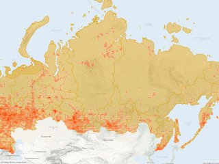 Проект Московского университета «Флора России»: итоги первых двух лет