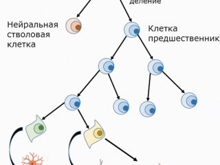 Источник: скриншот записи Президиума РАН от 5 декабря 2023 г.