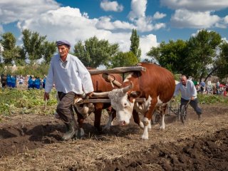 Выставка "Путешествуя - помогай!" в Дарвиновском музее