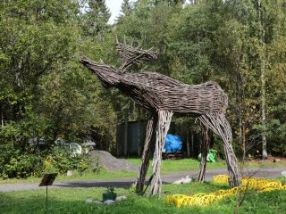 Студенческий тур «Научной России» в КарНЦ РАН. Фото: Ольга Мерзлякова / «Научная Россия»