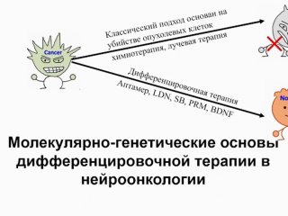 Источник: скриншот записи Президиума РАН от 5 декабря 2023 г.