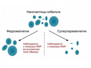 Ученые описали распределение размера наночастиц кобальта с помощью их магнитных свойств