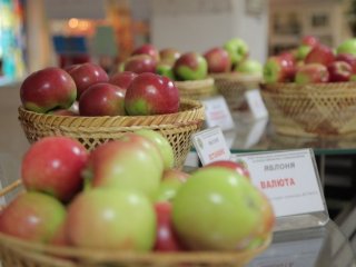 Международный форум "Дни сада в Бирюлево". Уникальные сорта садовых культур