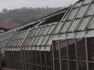 Ученые РАН впервые в мире провели перфузию головного мозга химиопрепаратами…