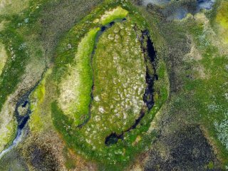 Бугор на пальза-болоте, вид сверху. Вода по бокам – признак таяния мерзлоты. Фото: Алексей Кабонен