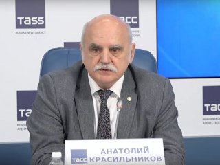 Директор Проектного центра ИТЭР (госкорпорация «Росатом») Анатолий Красильников. Источник: скриншот трансляции пресс-конференции в ТАСС