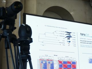 Научный совет РАН «Науки о жизни», посвященный теме: «Фундаментальные основы геронтологии и гериатрии». Фото: Ольга Мерзлякова / «Научная Россия»