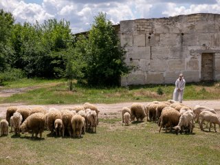 Животноводство Крыма: путь к инновациям и безотходному производству…