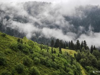 © РИА Новости, Владимир Астапкович