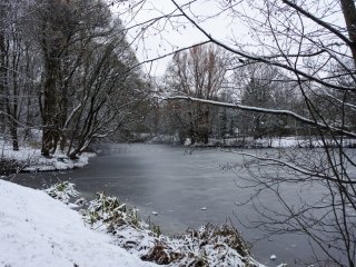 Ботанический сад им. Н.В. Цицина РАН… Фото: Анастасия Ибрагимова / Научная Россия