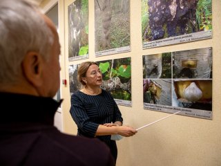 Карельская береза, северный жемчуг и аномальная древесина: уникальная наука Карелии. Фото: Николай Мохначев / «Научная Россия»