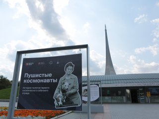 Акция в Музее космонавтики. Фото: Ольга Мерзлякова / "Научная Россия"