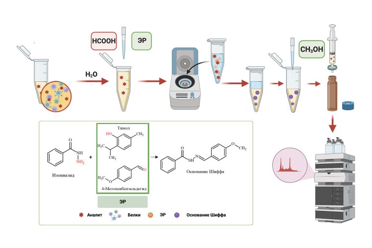 Схема определения изониазида в плазме человека с выделением в глубокий эвтектический растворитель. Предоставлено Фирузой Креховой / пресс-служба СПбГУ