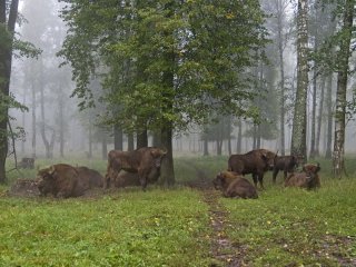 Фотовыставка «Прикоснись к живой природе»