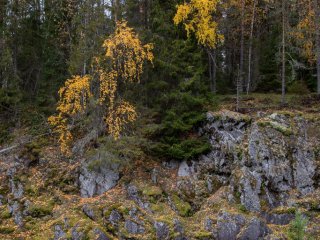 Карелия в миниатюре. Рассказываем об уникальном заповеднике «Кивач». Фото: Николай Мохначев / «Научная Россия»