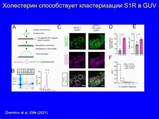 Из презентации И.Б. Безпрозванного. Источник: стопкадр трансляции президиума РАН