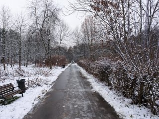 Ботанический сад им. Н.В. Цицина РАН… Фото: Анастасия Ибрагимова / Научная Россия