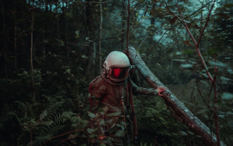 Sci-fi. Источник: Maksim Istomin on Unsplash