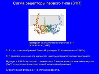 Из презентации И.Б. Безпрозванного. Источник: стопкадр трансляции президиума РАН