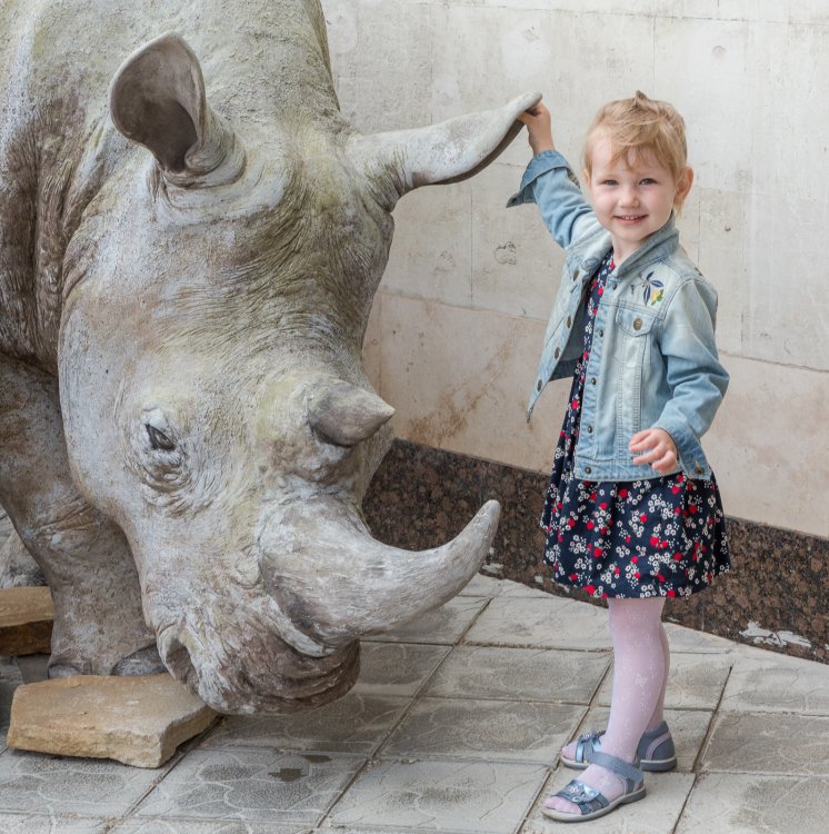 Фигура белого носорога Ceratotherium simum украсила вход в Дарвиновский музей