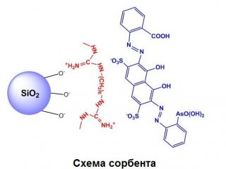 Извлечь и определить редкоземельные элементы помогут сорбенты на основе биокремнезема