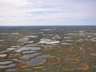 Вторично обводненный торфяник, Московская область. Фото К. Шахматова