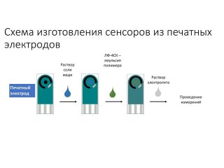 Изображение предоставлено Сергеем Ермаковым