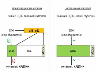 Лекарственная форма витамина B1 подавила рак легкого