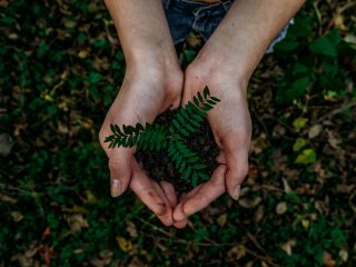 Чернозем. Автор фото: Noah Buscher / Unsplash