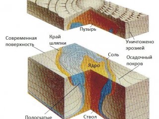 Ученые развивают вычислительный метод, который поможет восстановить историю образования диапиров