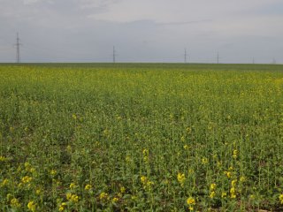 "Каникулы" - день второй