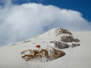 По следам древней жизни. Интервью с профессором РАН С.В. Наугольных. Фото: Николай Малахин / «Научная Россия»