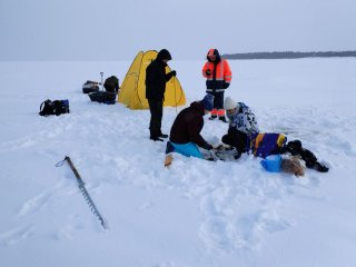 Участники экспедиции в устье реки Кемь. Фото - Алексей Толстиков, Институт водных проблем Севера КарНЦ РАН