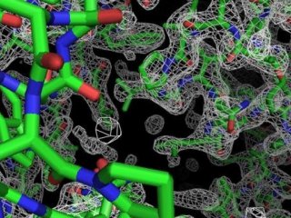 Молекулярные процессы можно будет изучать визуально