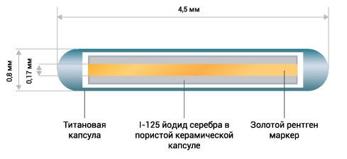 В Дубне открылось производство радиоактивных микроисточников для лечения рака простаты