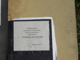 Академик Сандухадзе: «Селекция — самый…