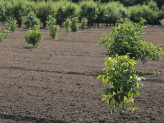 Пресс-тур «Научной России» и РАН в Тимирязевской академии. Фото: Ольга Мерзлякова / «Научная Россия»