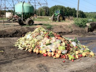 Пятая часть еды в мире теряется из-за переедания и излишков