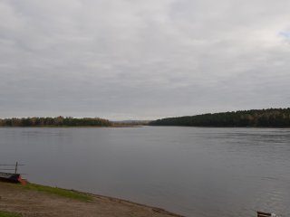 Водные растения подтвердили снижение содержания искусственных радионуклидов в Енисее