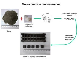 Иллюстрация предоставлена Ириной Зверевой