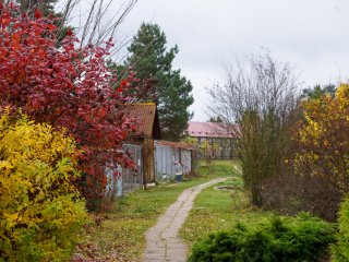 Парк птиц «Воробьи». Прогулка с «Научной Россией»… Фото: Анастасия Ибрагимова / Научная Россия