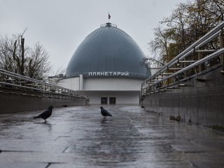 В Московском планетарии. Фото: Елена Либрик / «Научная Россия»