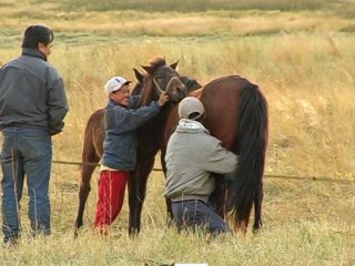 Кадр из фильма "Возвращение в Суцзуктэ"