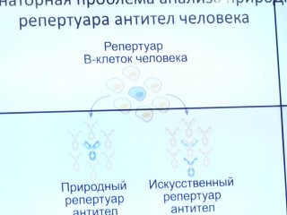 КЛЕТОЧНЫЙ ИММУНИТЕТ В БОРЬБЕ С COVID-19. Фото: Николай Малахин / Научная Россия