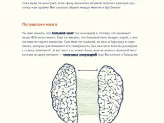 В моей голове. Как устроен мозг и зачем он нам нужен