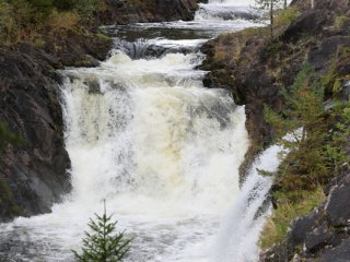 Студенческий тур «Научной России» в КарНЦ РАН. Фото: Ольга Мерзлякова / «Научная Россия»