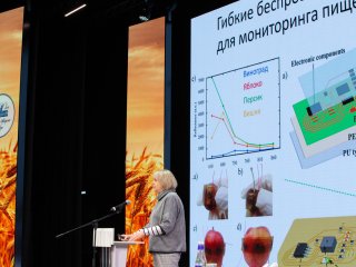 Сельскохозяйственный форум в рамках выставки «Золотая осень — 2024» собрал сотни ученых и экспертов. Фото: Ольга Мерзлякова / Научная Россия