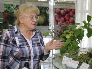 Международный форум "Дни сада в Бирюлево". Уникальные сорта садовых культур