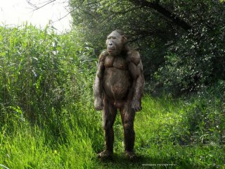 Paranthropus boisei (Парантроп бойса). Реконструкция выполнена Романом Евсеевым